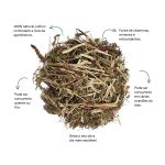 Cha de Crista de Galo Sache Natural Ervas Infusao Premium
