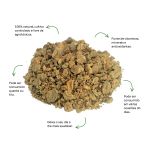 Cha de Garra do Diabo Sache Natural Ervas Infusao Premium