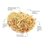 Cha de Ginseng Sache Natural Ervas Infusao Premium Qualidade