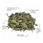 Cha de Java Sache Natural Ervas Infusao Premium Selecionadas