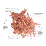 Cha de Lingua de Vaca Sache Natural Ervas Infusao Premium