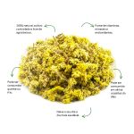 Cha de Macela Flor Sache Natural Ervas Infusao Premium