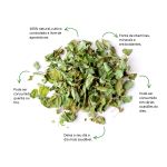 Cha de Moringa Sache Natural Ervas Infusao Premium Qualidade