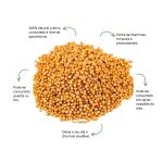 Cha de Mostarda Sache Natural Ervas Infusao Premium