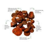 Cha de Noz de Sache Natural Ervas Infusao Premium Qualidade