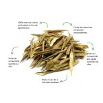 Cha de Oliveira Folhas Sache Natural Ervas Infusao Premium