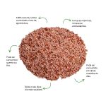 Cha de Psilium Sache Natural Ervas Infusao Premium Qualidade