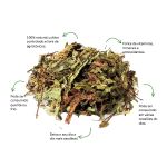 Cha de Stevia Sache Natural Ervas Infusao Premium Qualidade