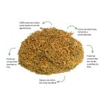 Cha de Tuia Sache Natural Ervas Infusao Premium Selecionadas