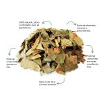 Cha de Umbauba Sache Natural Ervas Infusao Premium Qualidade