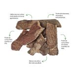 Cha de Cervejinha do Campo Sache Natural Ervas Infusao