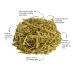 Cha de Parietaria Sache Natural Ervas Infusao Premium