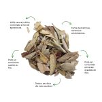 Cha de Boldo do Chile Sache Natural Ervas Infusao Premium