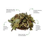 Cha Verde Nacional Sache Natural Ervas Infusao Premium