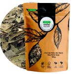 Cha de Pata de Vaca do Nordeste Bauhinia Forficata L. Rocha