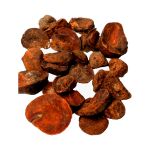 Cha de Noz de Cola Cola Nitida Ventenat Rocha Saude 100%