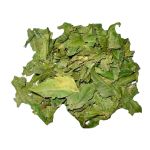 Cha de Nim Indiano Azadirachta Indica Rocha Saude 100% Puro