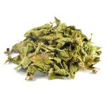 Cha de Melissa Officinalis Melissa officinalis L. Rocha