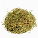 Cha de Melao de Sao Caetano Momordica Charantia L. Rocha