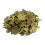 Cha de Guaco Mikania glomerata Sprengel Rocha Saude 100%