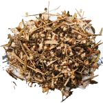 Cha de Terramicina Alternanthera brasiliana Rocha Saude