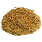 Cha de Tuia Thuya Occidentalis L. Rocha Saude 100% Puro