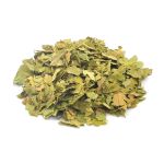 Cha de Graviola Annona muricata Rocha Saude 100% Puro Livre