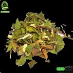 Cha de Ginkgo Biloba Ginkgo biloba L. Rocha Saude 100% Puro