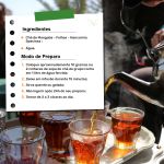 Cha de Folha de Manga Mangifera Indica Rocha Saude 100%
