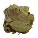 Cha de Folha de Louro Laurus Nobilis Rocha Saude 100% Puro