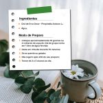Cha de Erva Doce Pimpinella anisum L. Rocha Saude 100% Puro