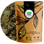 Cha de Aroeira Schinus terebinthifolius rad. Rocha Saude