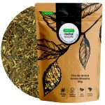 Cha de Arnica Silvestre Solidago microglossa D.C. Rocha