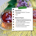 Cha de Alfazema Nacional Lavandula angustifolia Rocha Saude