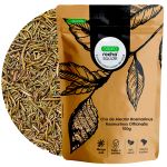 Cha de Alecrim Rosmarinus Rosmarinus officinalis Rocha