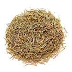 Cha de Alecrim Rosmarinus Rosmarinus officinalis Rocha