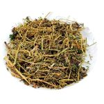 Cha de Cipo Azougue Apodanthera Smilacifolia Rocha Saude