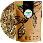 Cha de Carqueja Amarga Baccharis genistelloides persoon