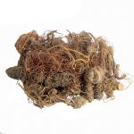 Cha de Carapia Dorstenia Brasiliensis L. Rocha Saude 100%