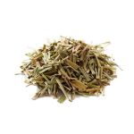 Cha de Capim Colonia Panicum Maximum Rocha Saude 100% Puro