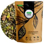 Cha de Alcachofra Cynara scolymus L. Rocha Saude 100% Puro