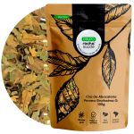Cha de Abacateiro Persea gratissima G. Rocha Saude 100%