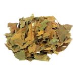 Cha de Abacateiro Persea gratissima G. Rocha Saude 100%