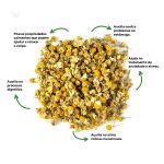 Chá de Camomila Flor Pura Matricaria Noites Leves Bem Estar