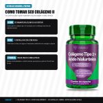 Colágeno Tipo II + Ác. Hialurônico 500mg 60Caps Videira 7