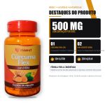 Cúrcuma Flex com MSM 500 mg 60 Caps Videira7