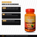 Cúrcuma Flex com MSM 500 mg 60 Caps Videira7