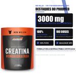Creatina Monohidratada Sabores 300g New Millen