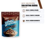 Whey Granola 10g Proteina Mix Cereais 300g Shark Pro
