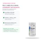 Colageno Verisol Pote 330g Dux Nutrition